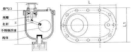 ARVX-1.jpg